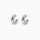 Dikke ringen